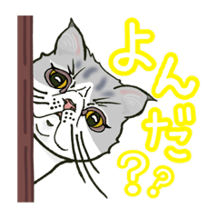 [LINEスタンプ] 愛すべき 猫たち