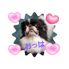 [LINEスタンプ] ふーちゃん6