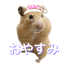 [LINEスタンプ] なげちゃんスタンプ
