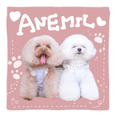 [LINEスタンプ] 【修正版】アネミルスタンプ