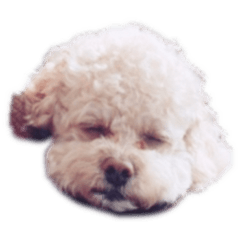 [LINEスタンプ] ラフだよ〜
