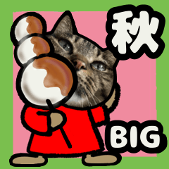 [LINEスタンプ] キジトラ猫BIG12(秋)