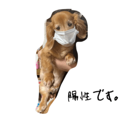 [LINEスタンプ] さとうこたろう