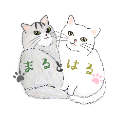 [LINEスタンプ] 長毛猫の「まる」と「はる」〜日常生活編〜