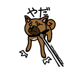 [LINEスタンプ] 柴犬テツLINEすたんぷvol.3