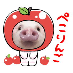 [LINEスタンプ] チワワと3匹の子豚