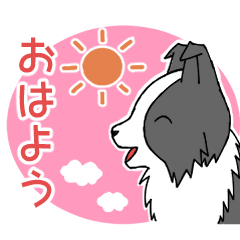 [LINEスタンプ] 気持ちを伝えるボーダーコリー(ブラック)