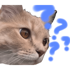 [LINEスタンプ] yukichi'sスタンプ