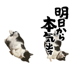 [LINEスタンプ] New futaro