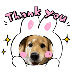 [LINEスタンプ] ジョンココの日常