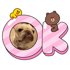 [LINEスタンプ] ゆるレオン①
