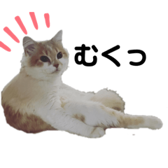 [LINEスタンプ] もふもふラテ