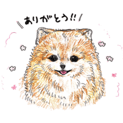 [LINEスタンプ] 動物の伝えたいことスタンプ