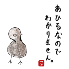 [LINEスタンプ] 見えにくいアヒルの子