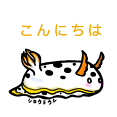 [LINEスタンプ] ウミウシと海の仲間達