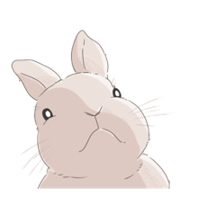 [LINEスタンプ] つまりうさぎって可愛いよね