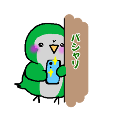 [LINEスタンプ] らくがき オキナインコ ノーマル＆ブルー 1