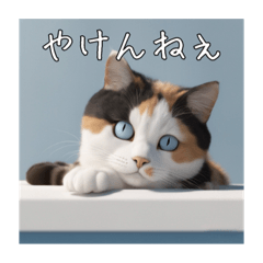 [LINEスタンプ] 宇和島弁★ねこ