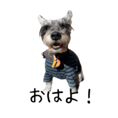 [LINEスタンプ] Balonくんの暮らし