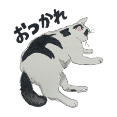 [LINEスタンプ] ブチネコブチコ