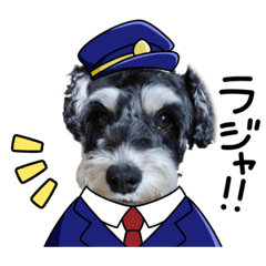 [LINEスタンプ] ⭐︎おっくんスタンプ⭐︎