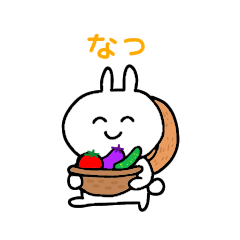 [LINEスタンプ] しろうさうさこの毎日スタンプ 夏