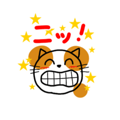 [LINEスタンプ] かーみさんのねこスタンプ