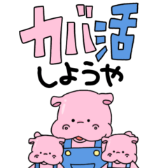 [LINEスタンプ] かわいいカバのスタンプ4 【BIGスタンプ】