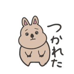 [LINEスタンプ] クオッカさんの毎日