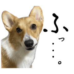 [LINEスタンプ] つくねちゃん詰め合わせ 3