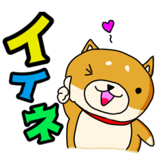 [LINEスタンプ] 柴犬ポチをの日常2