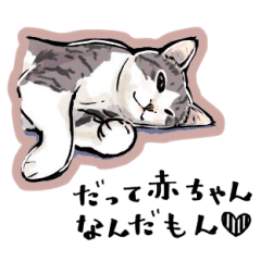 [LINEスタンプ] かわいいサバシロにゃんこスタンプ