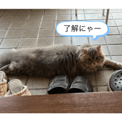 [LINEスタンプ] M A L Uのまったりライフ3