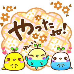 [LINEスタンプ] 動く☆セキセイインコちゃんのメッセージ