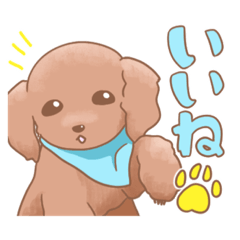 [LINEスタンプ] ゲキかわトイプーここちゃん