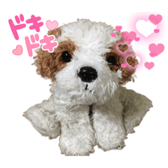 [LINEスタンプ] きゅんまる 100%vol.4