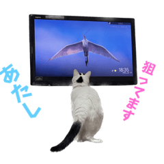 [LINEスタンプ] 可愛い雨汐スタンプ2023