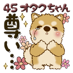 [LINEスタンプ] 柴犬・ちゃちゃ丸 45『オタクちゃん』