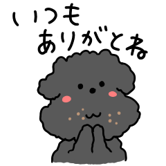 [LINEスタンプ] 黒トイプードル【日常用】