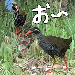 [LINEスタンプ] ヤンバルクイナ大好き 沖縄行きたい