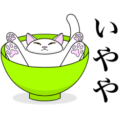 [LINEスタンプ] 関西弁を使う否定的な猫の画像（メイン）