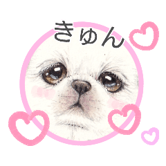 [LINEスタンプ] どあっぷワンにゃん手描き日常使いスタンプ