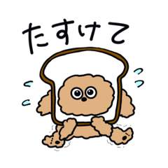 [LINEスタンプ] キミのわんこ【トイプードル】（日常）