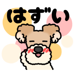 [LINEスタンプ] ワイヤーフォックステリアのらいと君