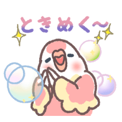 [LINEスタンプ] アキクサインコLINEスタンプ4