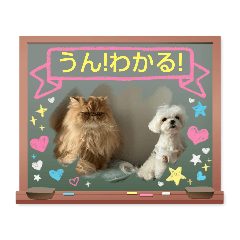 [LINEスタンプ] マリサニ 仲良しわんにゃん姉弟 2