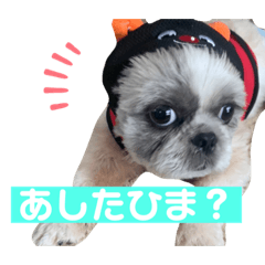 [LINEスタンプ] ポップなロン