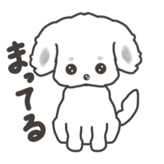 [LINEスタンプ] お目目がくりくりマルチーズ