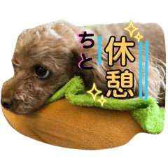 [LINEスタンプ] すずこと一緒