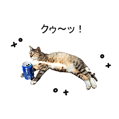 [LINEスタンプ] にゃんにゃんした一日